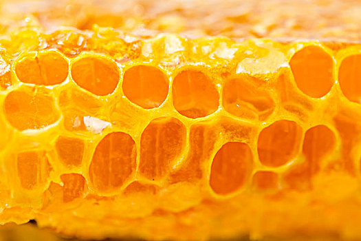 蜂巢,蜂蜜