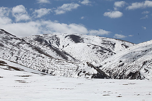 新疆哈密五月飞雪,扮靓巍巍天山