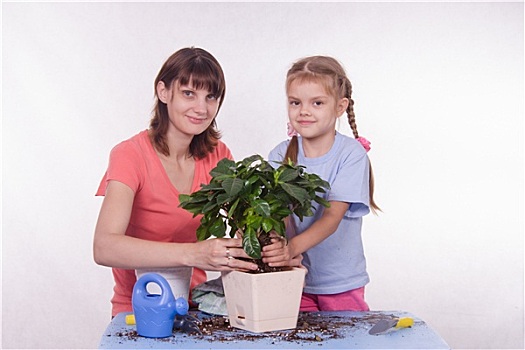 妈妈,女儿,种植,新,盆栽植物,容器