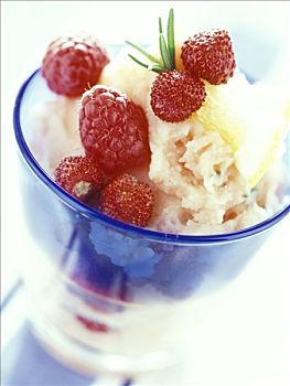 果汁冰糕,野草莓,树莓,迷迭香