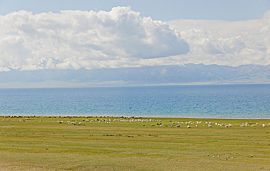 新疆赛里木湖畔