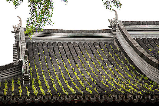 中国,上海,屋顶,建筑