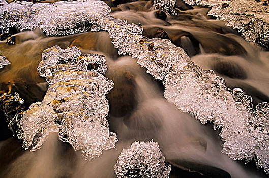 冰层,岩石上,峡谷,溪流,山谷,不列颠哥伦比亚省,加拿大