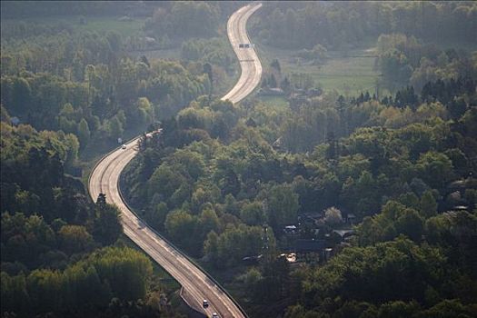 道路,树林,瑞典