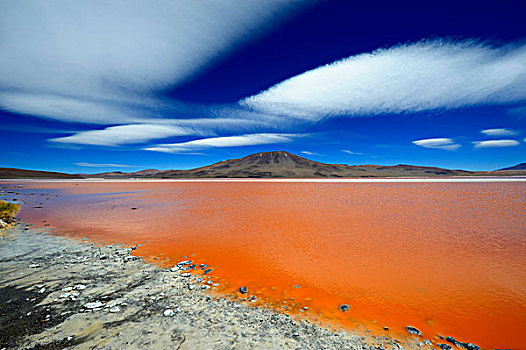 泻湖,红色,水,云,空中,乌尤尼,玻利维亚,南美