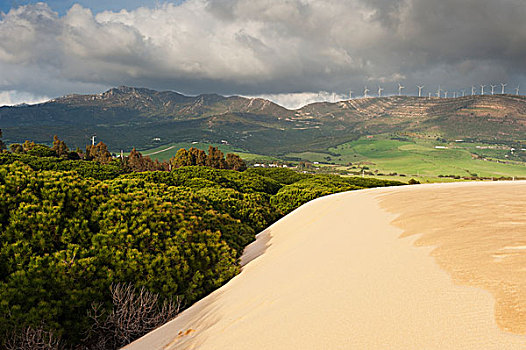 沙丘,西班牙