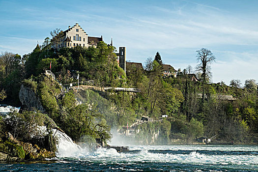劳芬,城堡,莱茵河,瀑布,靠近,沙夫豪森,瑞士,欧洲
