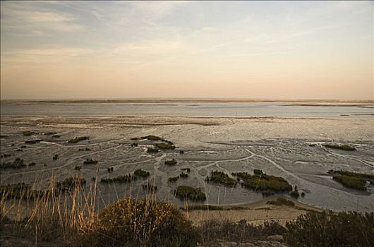 半岛,自然保护区,保护区,佐渡市,葡萄牙