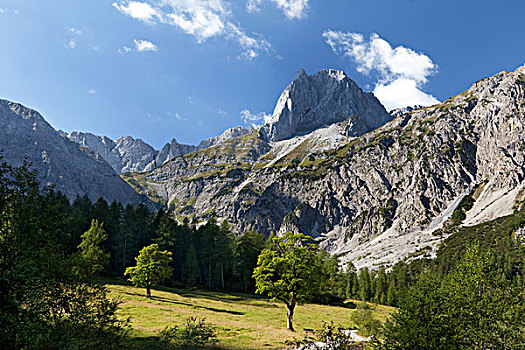 顶峰,阿尔卑斯山