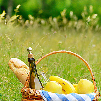 野餐篮,水果,葡萄酒,面包,草地