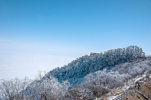 四川大邑县西岭雪山丛林中的冰挂雾凇