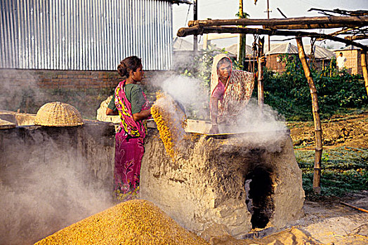 稻米,干燥,市场,女人,帮助,合作,弄干
