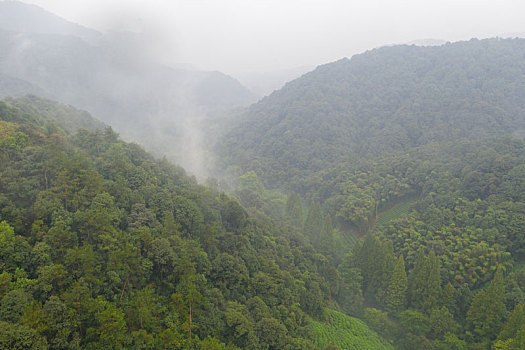 航拍西湖龙井村