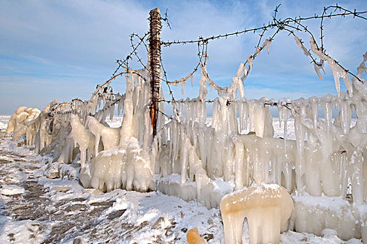 冰,刺铁丝网,冰冻,黑海,稀有,现象,敖德萨,乌克兰,东欧