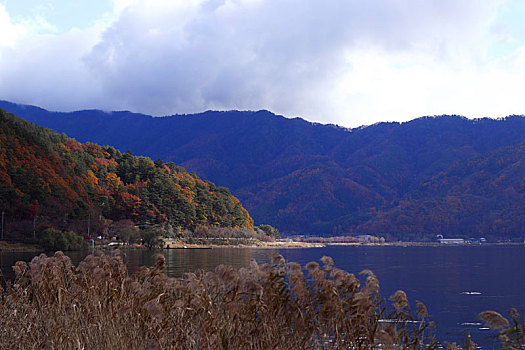 日本富士山河口湖自然生活馆