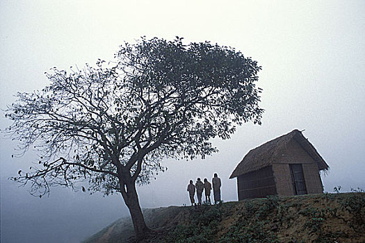寒冷,模糊,天气,孟加拉,一月,1998年