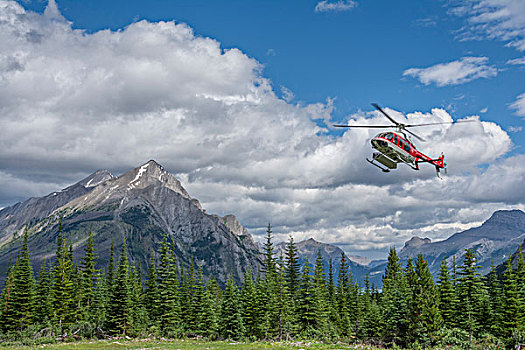 直升飞机,降落,公园,加拿大