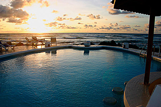 日出,上方,加勒比海,游泳池,前景,巴巴多斯