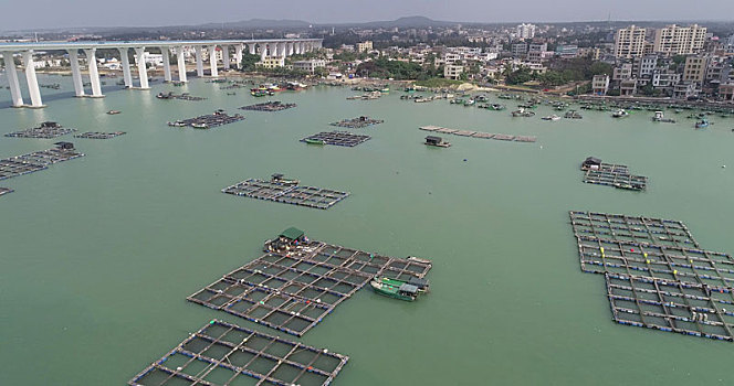 海南海口,文昌埔前镇铺前港风光