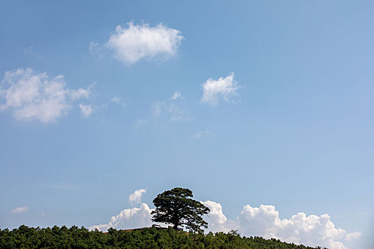 中国云南东川的红色土地田园风光