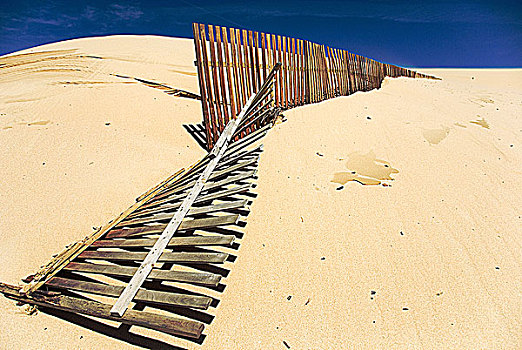 栅栏,风吹,海滩,安达卢西亚,西班牙