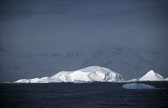 南极,南设得兰群岛,海峡,积雪,岛屿