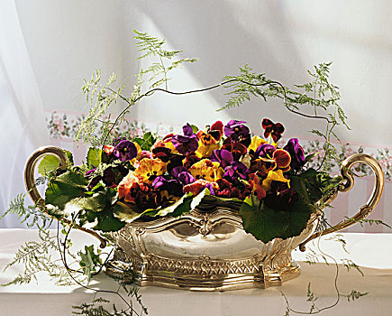 花,桌面摆饰,三色堇,紫罗兰