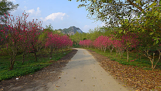 花花大世界