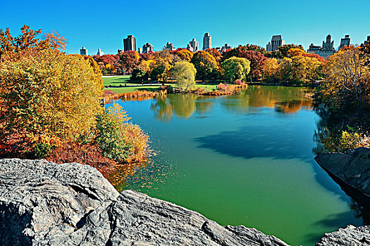 中央公园,秋天,市中心,天际线,上方,湖,曼哈顿,纽约