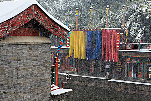 颐和园雪景