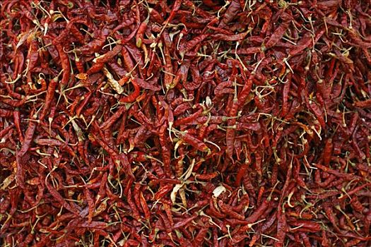 干燥,红椒,印度