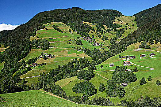 法国,阿尔卑斯山,血肠