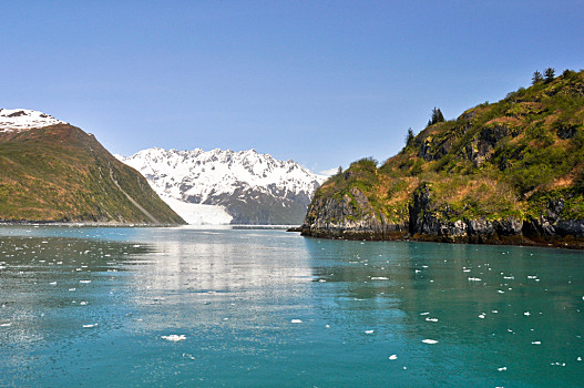 岛屿,艾阿里克湾,基奈,峡湾,国家公园,阿拉斯加