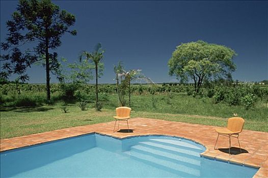 阿根廷,游泳池,树,蓝天