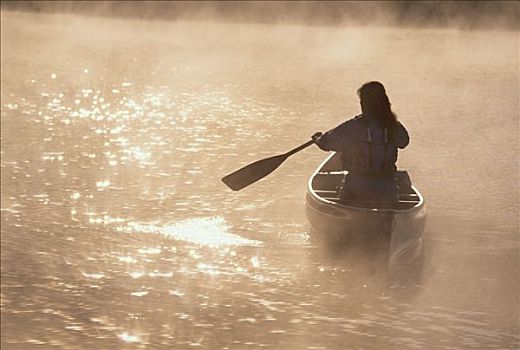 女人,独木舟,柳树,水塘,楚加,阿拉斯加