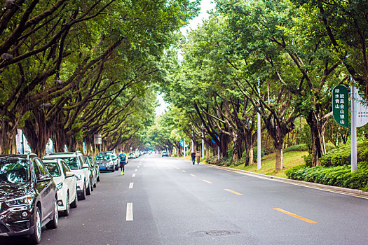 空旷,马路