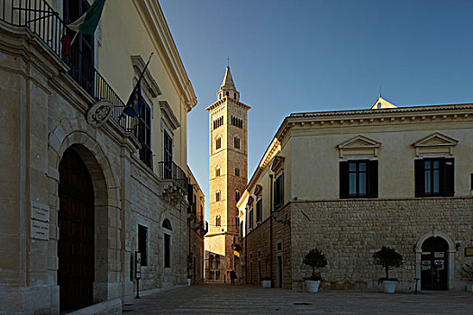塔,大教堂,普利亚区,意大利,欧洲