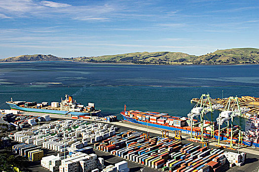 集裝箱碼頭,港口,奧塔哥,南島,新西蘭