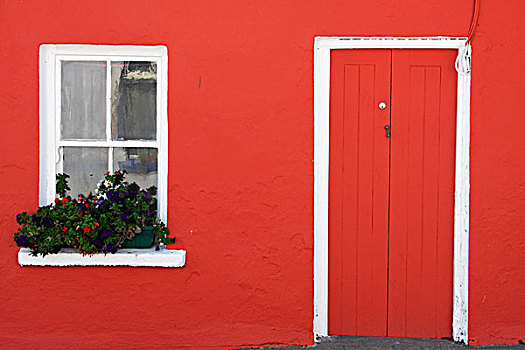 红色,涂绘,房子,花,盒子,窗户,科克郡,爱尔兰