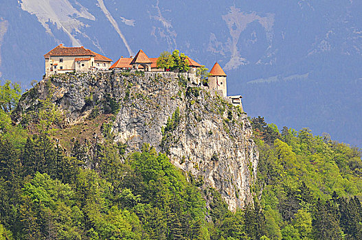 流血,城堡,中世纪,建造,悬崖,高处,城市,斯洛文尼亚