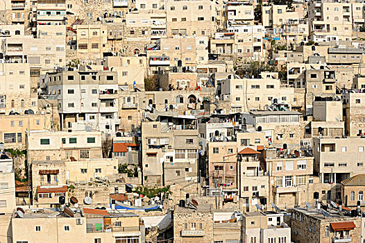 巴勒斯坦,郊区,户外,老,城市,汲沦谷,山谷,耶路撒冷,以色列,中东