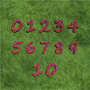 数字,创作,红色,花,草
