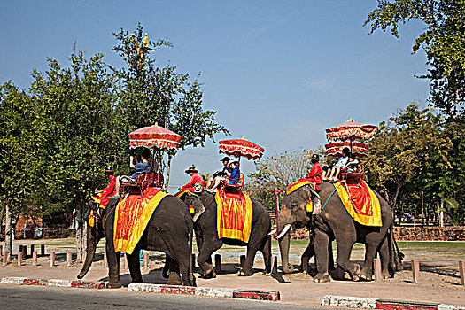 泰国,大城府,历史,公园,游客,骑,大象