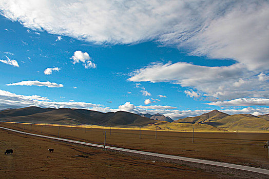 高原山谷中的公路