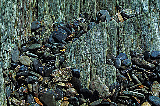 石头,海岸线,小湾,大马南岛,新布兰斯维克,加拿大