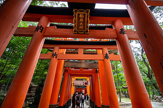 日本京都伏见稻荷大社千本鸟居风光