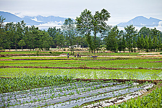 四川邛崃