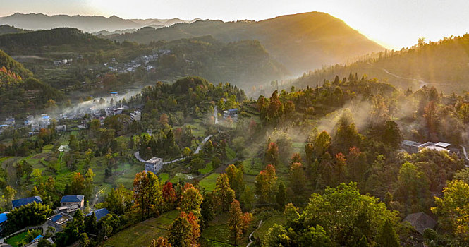 重庆酉阳,乡村初冬,枫,景如画