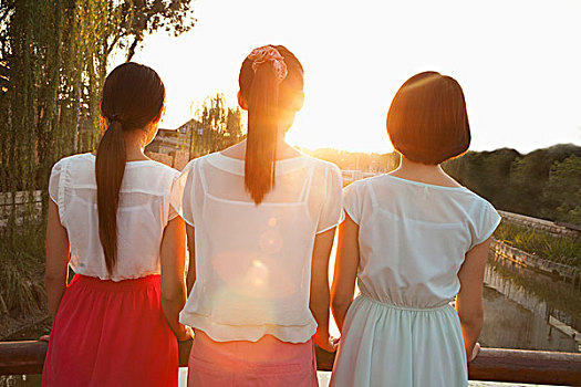 三个女人,年轻,看,日落