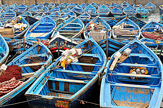 蓝色,捕鱼,船,港口,苏维拉,摩洛哥,非洲